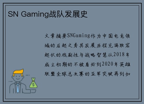 SN Gaming战队发展史