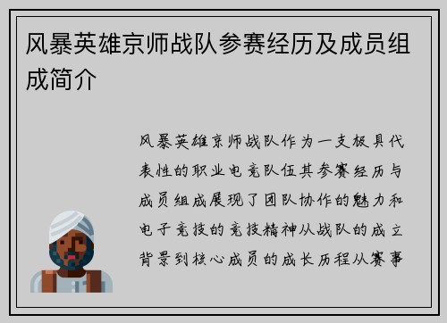 风暴英雄京师战队参赛经历及成员组成简介